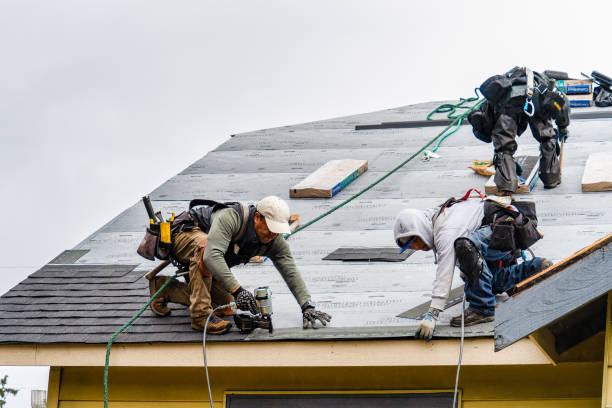 Professional Storm Damage Roof Repair technician working in Rockville, IN